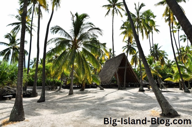 An old structure and palm trees in Pu'uhonua o Honaunau National Historical Park.