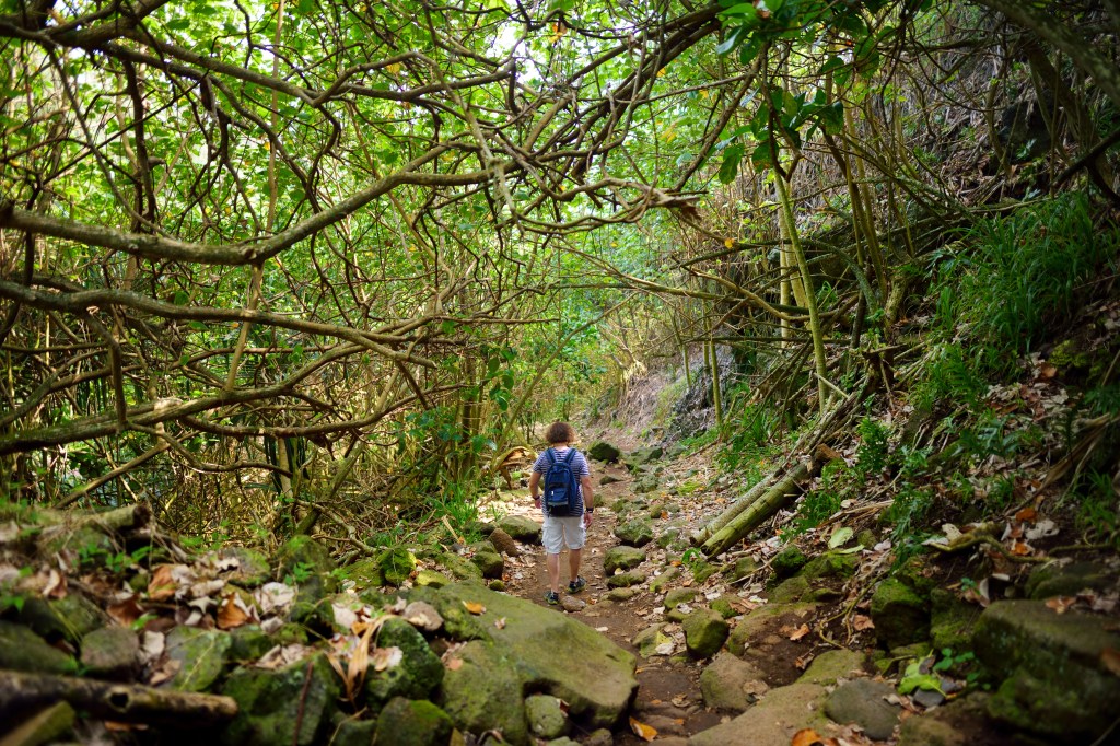 A tourist hiking on the beautiful Pololu loop trail located near Kapaau, Hawaii.